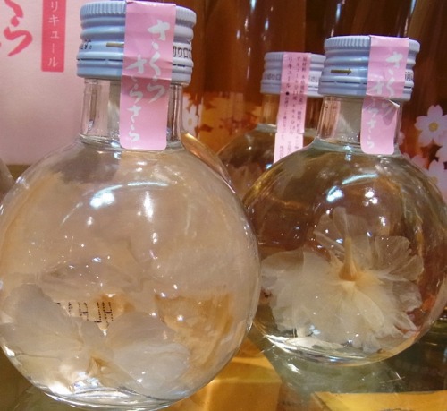 kumako365jp: Sakura liqueur 