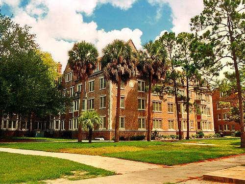 University Of Florida College 66