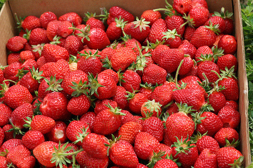 sand-s: su-ndae: paradisee-kids: wild-crescent: c-outh: yum i love strawberries so much oh my gosh yummo yum passionfruit what the actual fuck ☯ Summer/Indie/Serene. Follow back everyone! 