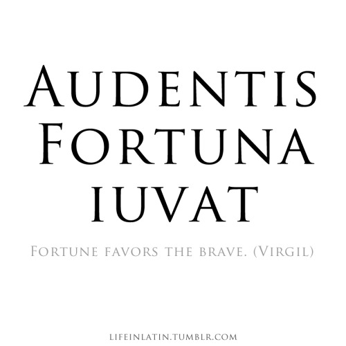 Quotes In Latin About Life 79