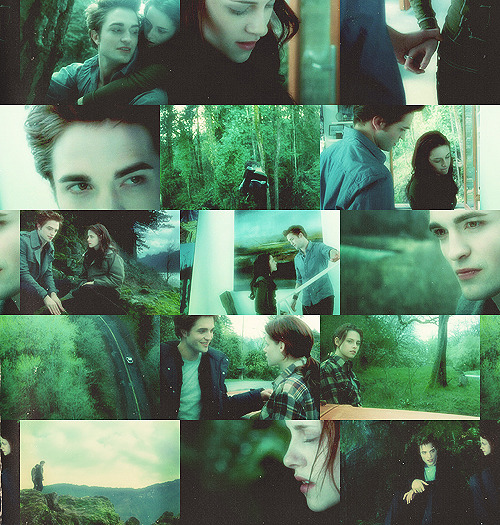 It was beautiful, of course; I couldn’t deny that. Everything was green: the trees, their trunks covered with moss, their branches hanging with a canopy of it, the ground covered with ferns. Even the air filtered down greenly through the leaves. It was too green — an alien planet. - Bella Swan about Forks, Washington, p. 8