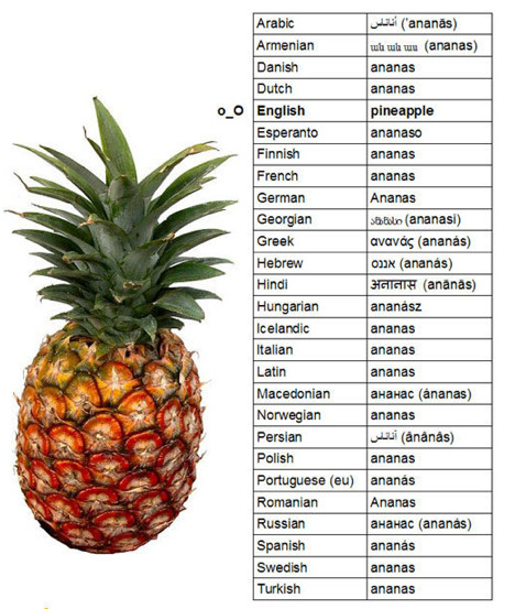  -Sir, we’ve found this and we needed you to name it. -Pineapple. -But we figured we might as well just call it “Ananas” since the majority of the world refers to it as- -Pineapple. -But sir- -Pine. Apple. 