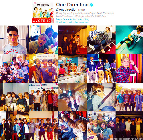 teamofonedirection: BOYS’ TWITTERS: One Direction ✖ 
