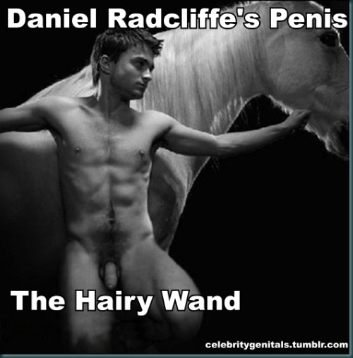 Daniel Radcliffes Penis 59