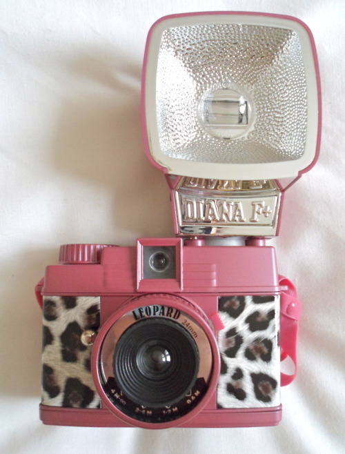 leopard, pink, PLUS my name (diana) &#160;??? love it!