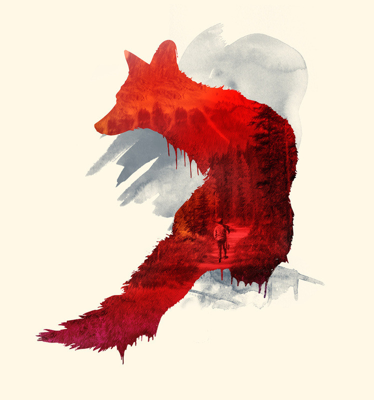 Red fox illustration