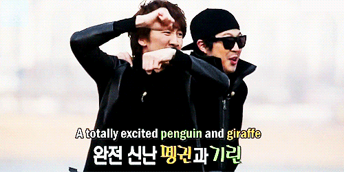 onsicaroyalty: the penguin and the giraffe.