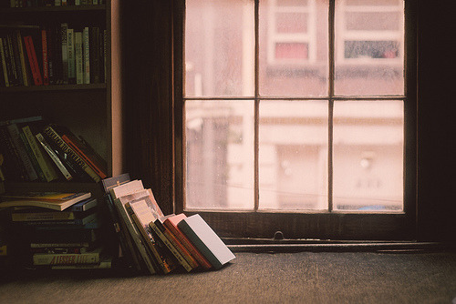 annaharo: books + windows (by wildorange55) 
