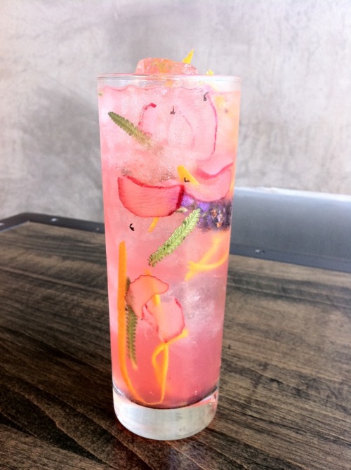a-rtist: this drink looks magical 