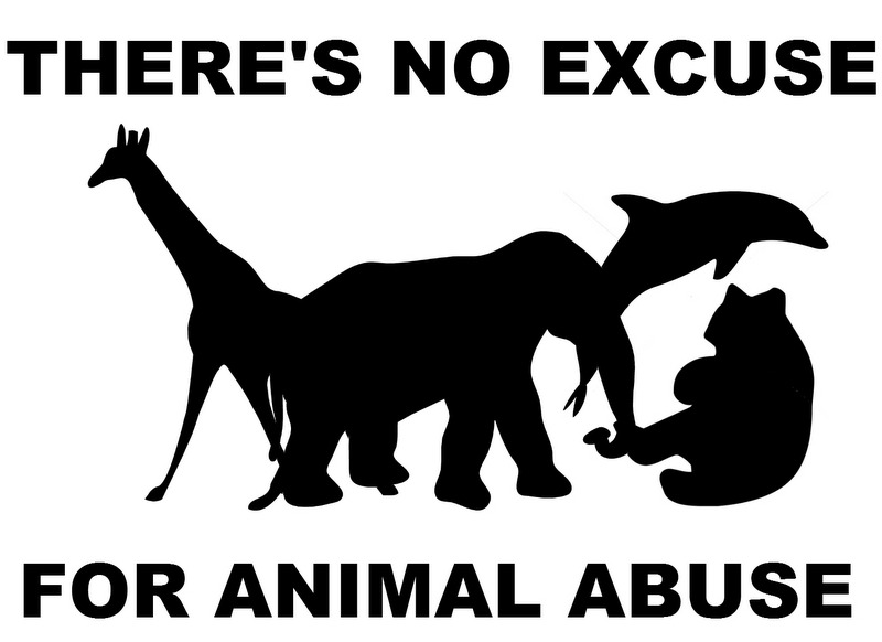 Animal Cruelty Quotes