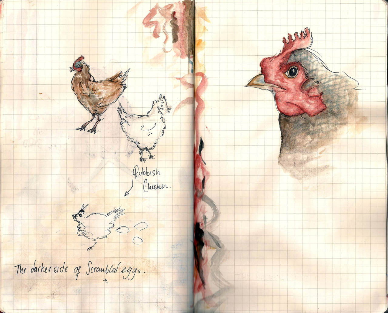 The darker side of scrambled eggs Watercolour -Corvus of Birdcagebox 