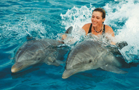 woman with dolphins