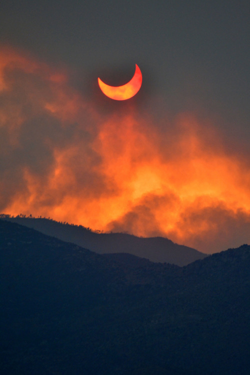 furples: Annular eclipse seen through smoke from the Arizona wild fires (by lissagwen) 
