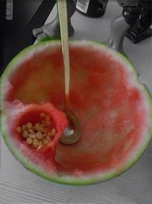 Ausghöhlte Melone