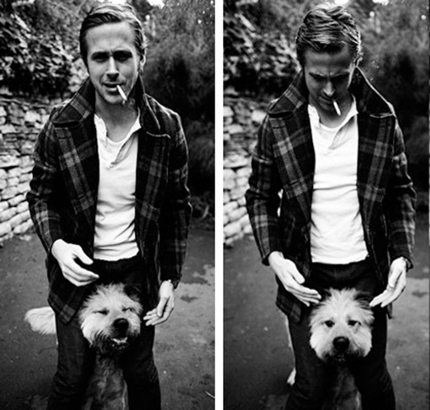  Ryan Gosling and his dog, George. 