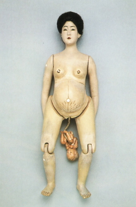 Pregnant woman anatomy