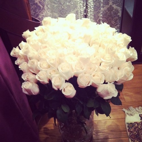 no-lungs: White roses are my favorite. 