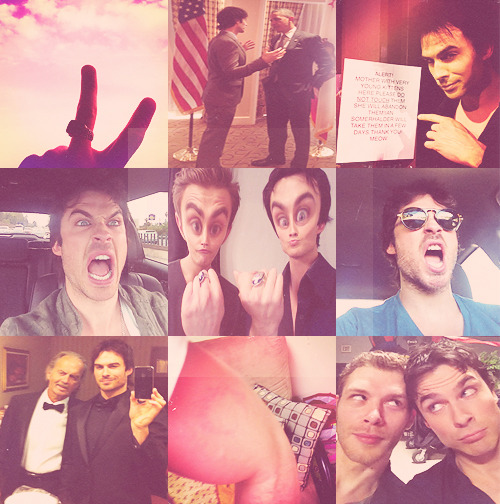  Ian’s favourite twitter pictures. 