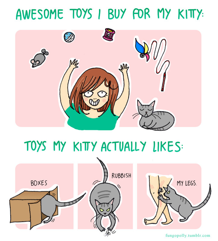 Kitty&#8217;s toys. More drawings on my blog