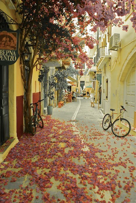 tassels: Crete, Greece 