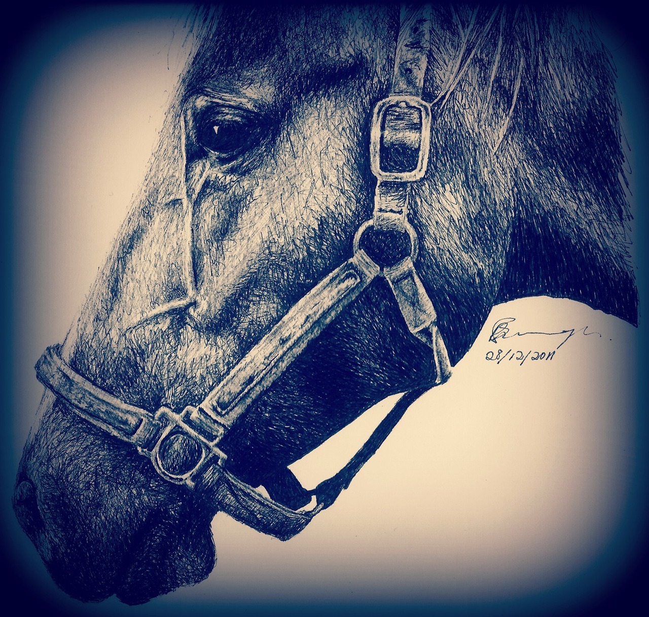 My horse drawing. Done in pen, it took about 5hrs. (: See more of my drawings here - http://www.tumblr.com/blog/roxbur (: