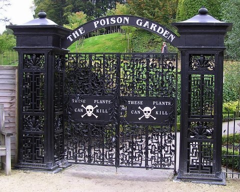 thegoddamazon:

clarabolina:

The Alnwick Poison GardenAlnwick...
