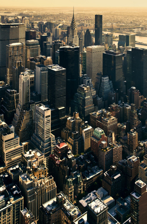 theworldwelivein: NYC, the Grid (by Sunset Noir) 