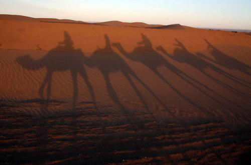 まるでアートな世界最大の「サハラ砂漠」 | PicMedi [ピクメディ] | ちょっとだけ楽しい写真メディア