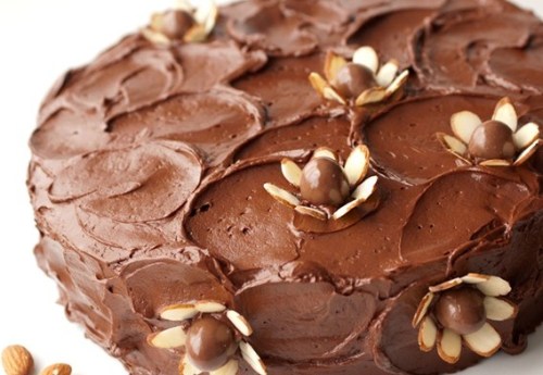 e-levated: Chocolate Almond Cake