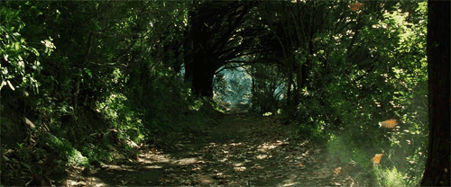 evil-sherlock-holmes: awildellethappears: katiedelia: enchantedengland: enchantedengland: This is the gif portal to the dream world of your choice. No this gif is sign that bitches better run because a Nazgul is coming. The LotR fandom is starting to ruin hipster posts, my life is now complete. :D well it was bloody time 
