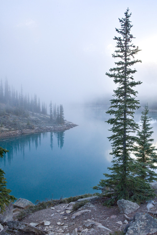 twitbite: Banff National Park - Moraign Lake Sunrise (by softclay) 