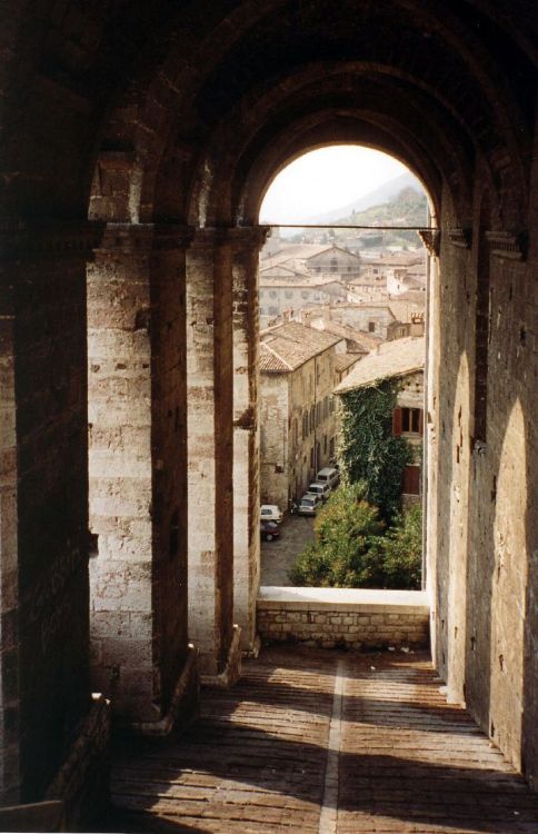 allthingseurope: Assisi, Italy (by Opiliones) 