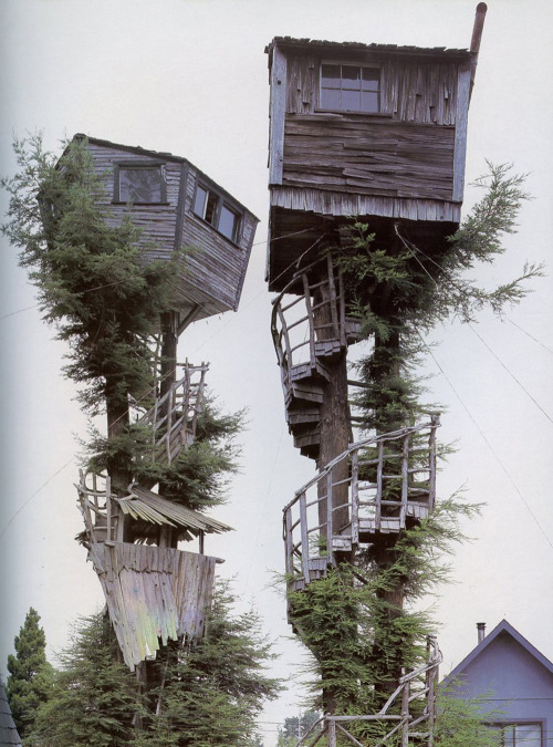 coletureconcept: Old Chum - Untitled (2010) She lived in the tree across from me. They hated each other so much, our dads had a competition to build the best looking tree house the fastest. In the end of the construction, our dads built houses that looked exactly the same, probably how the two of us became so similar. And even though she and I would stay up all night talking, we were always separated by gap up top and the fence down below. 