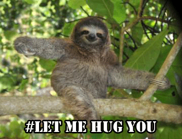 sloths cuddling gif