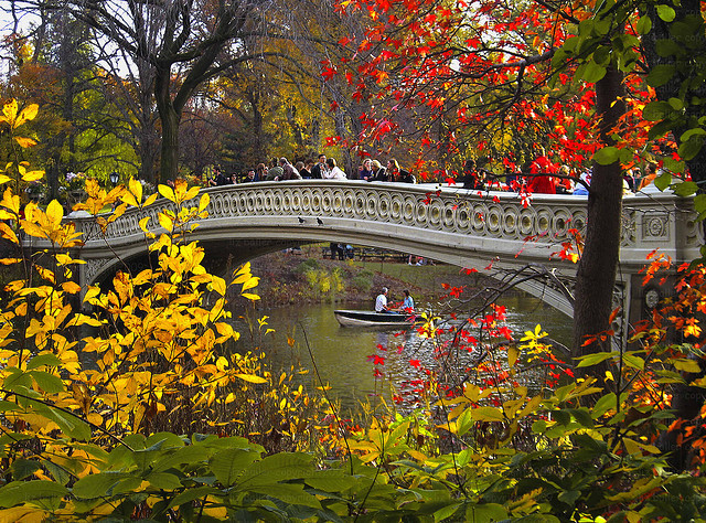 l3link182: Central Park - Bow Bridge Fall by LizBaller 