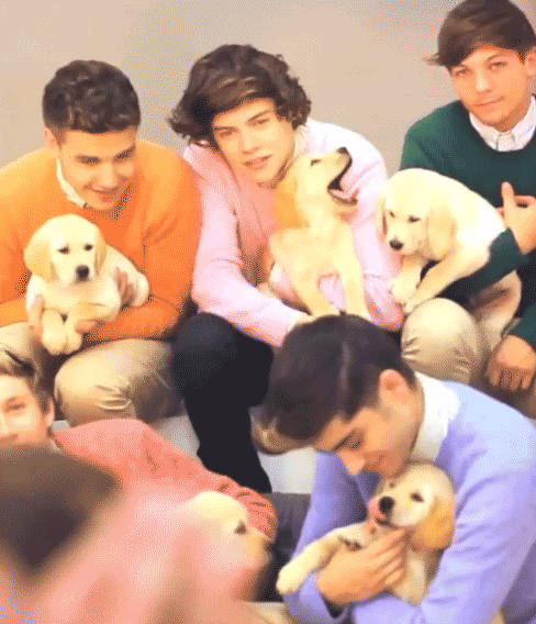 zaynimalikya: ok the way liam is holding that puppy. idk i just cant. 