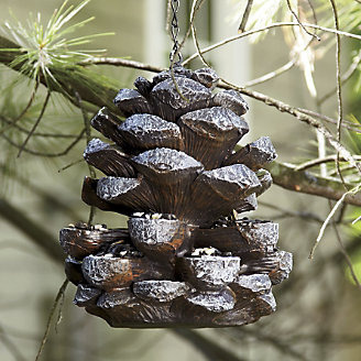 Beautiful pine cone