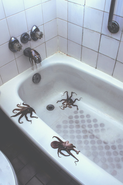 photography photo indie Grunge Octopus bathroom tub octopi