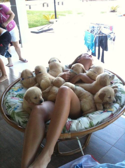 ewshit: chi-c: picturetakers: peaceinq: omfg want need is this what heaven looks like omg newwd 