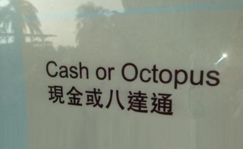 #this is convenient #since I really only carry octopus