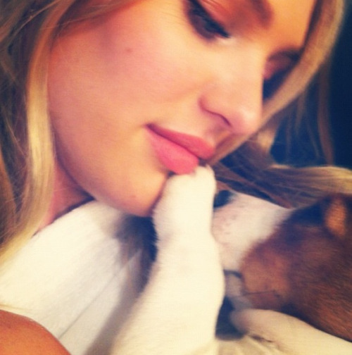 modelspersonal: Candice Swanepoel really loves her dog 